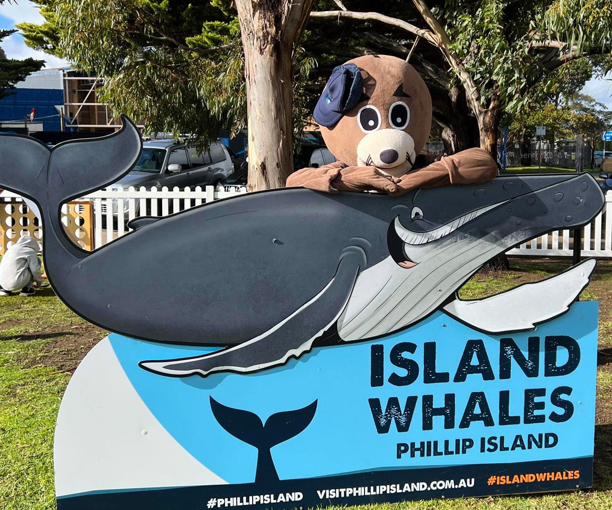 Island Whale Festival